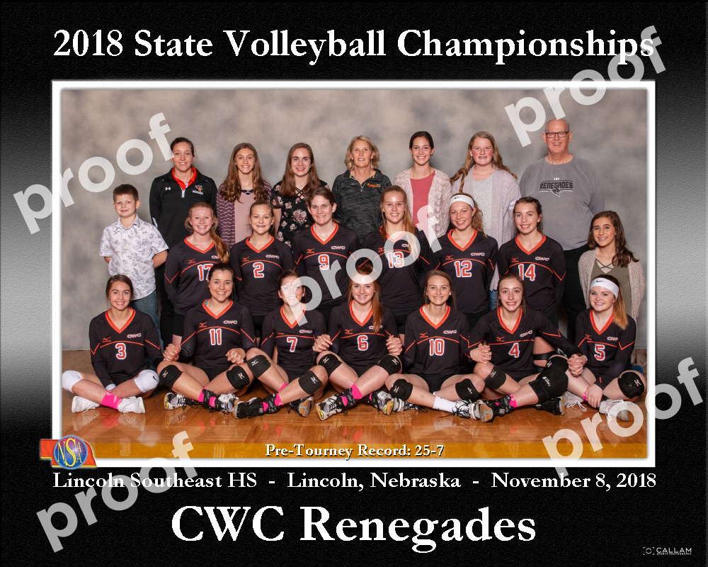 State Volleyball Pic