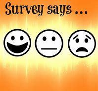 School Survey Results