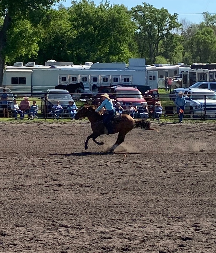 Rodeo